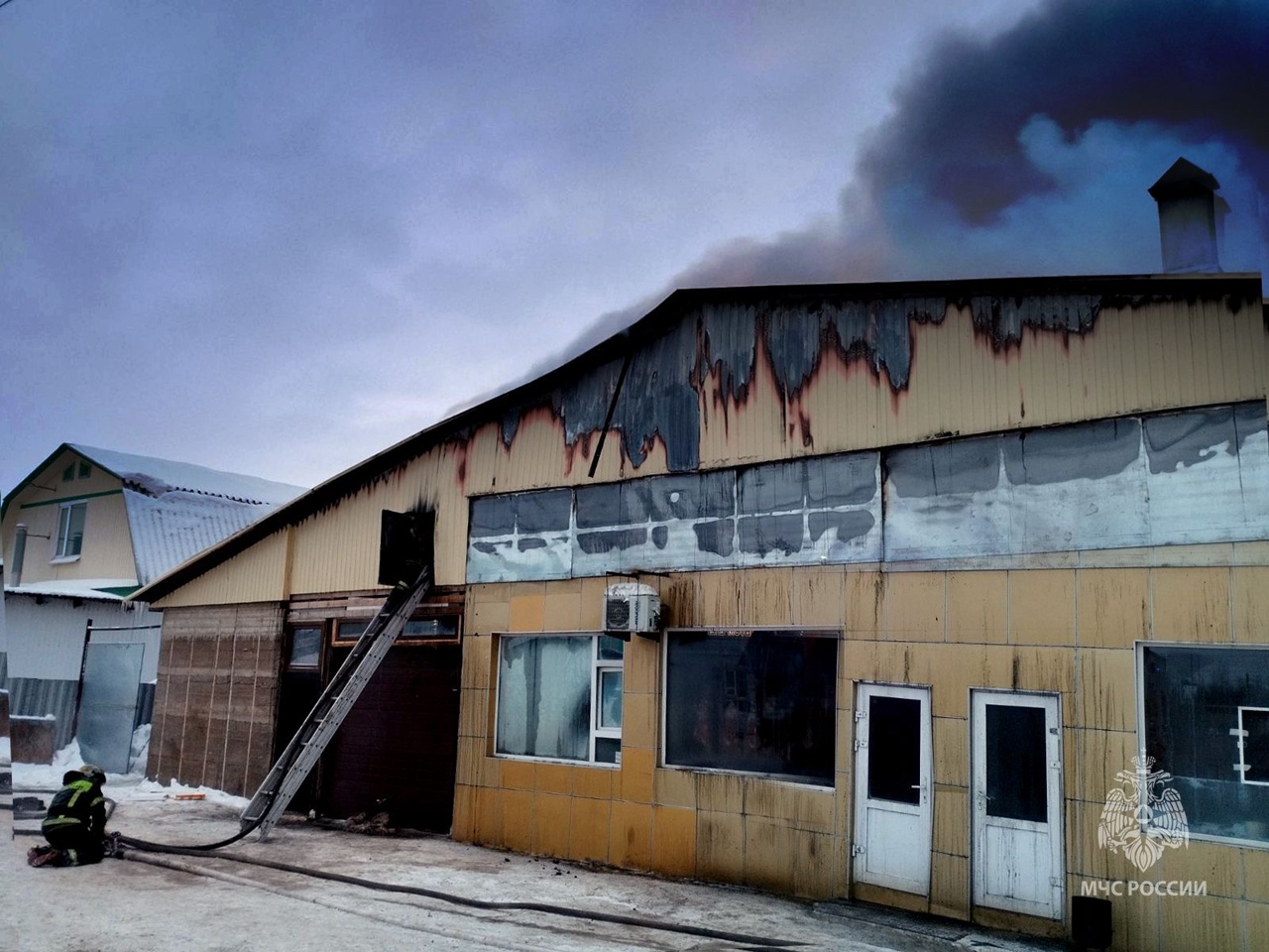 Физика 20 век. Связь науки и практики в движении. Связь науки с производством. Наука и государство взаимодействие. Связь биологии с другими науками.