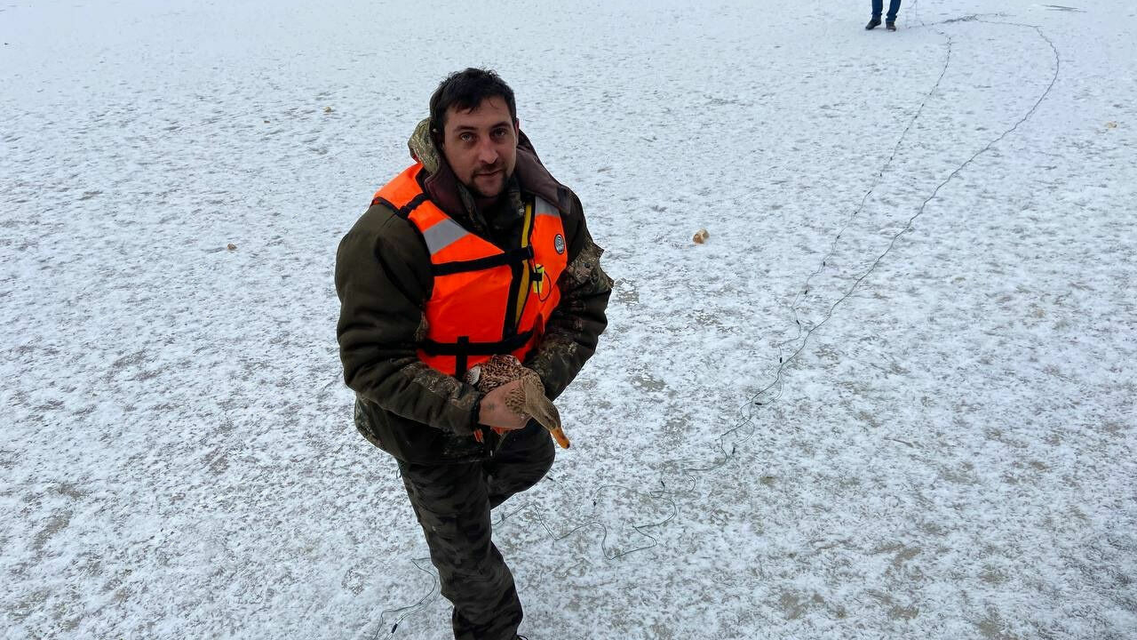 Как спас замерзающего. Спасение на замерзшем водоеме. Утки на замерзшем пруду