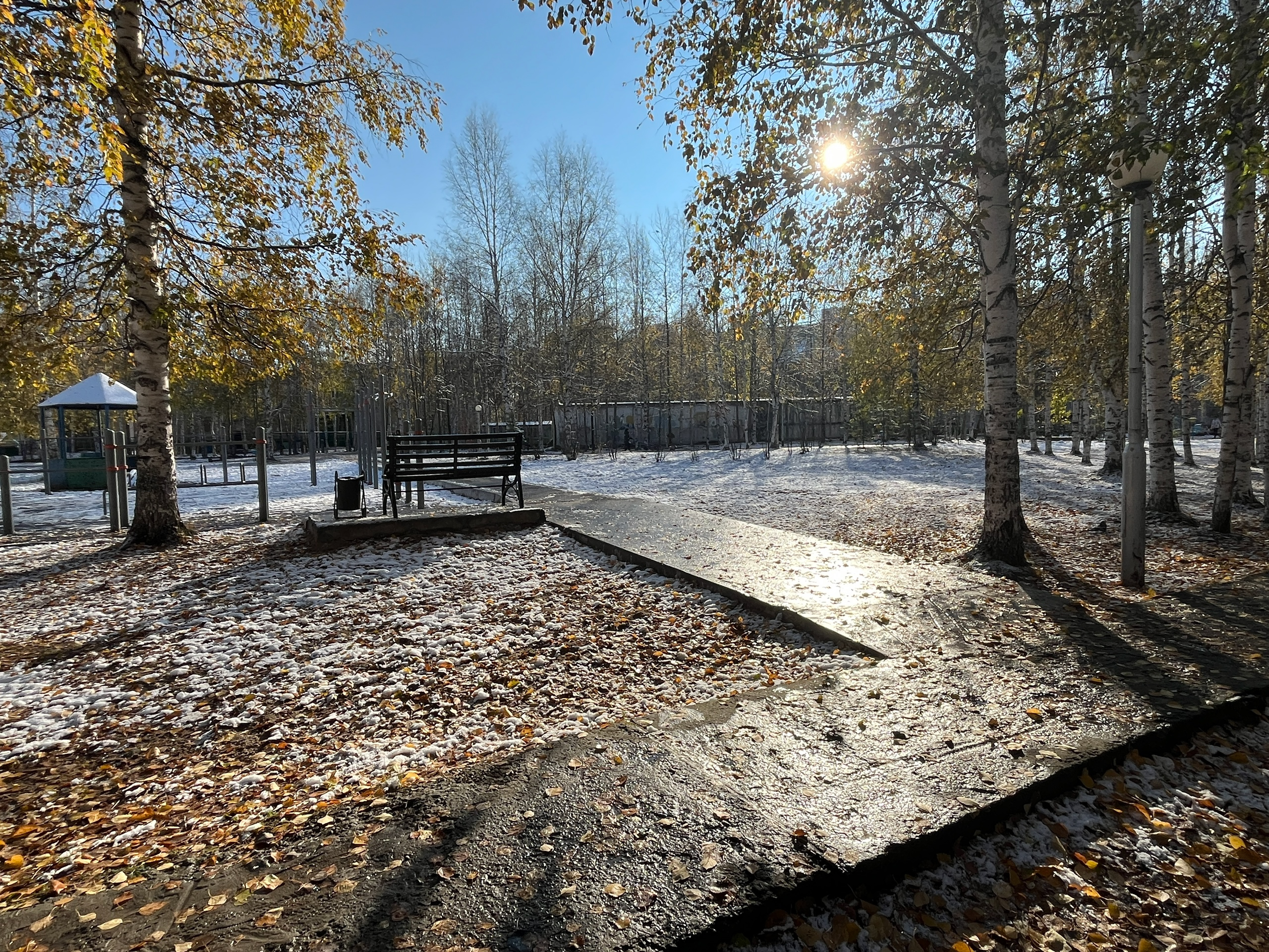 IMG_8310.png