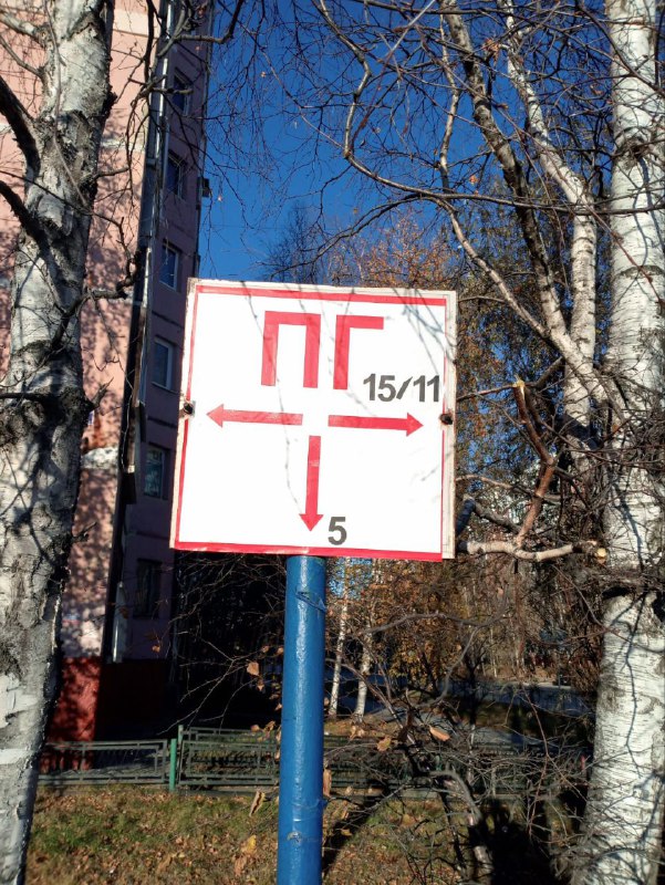 IMG_8376.jpeg