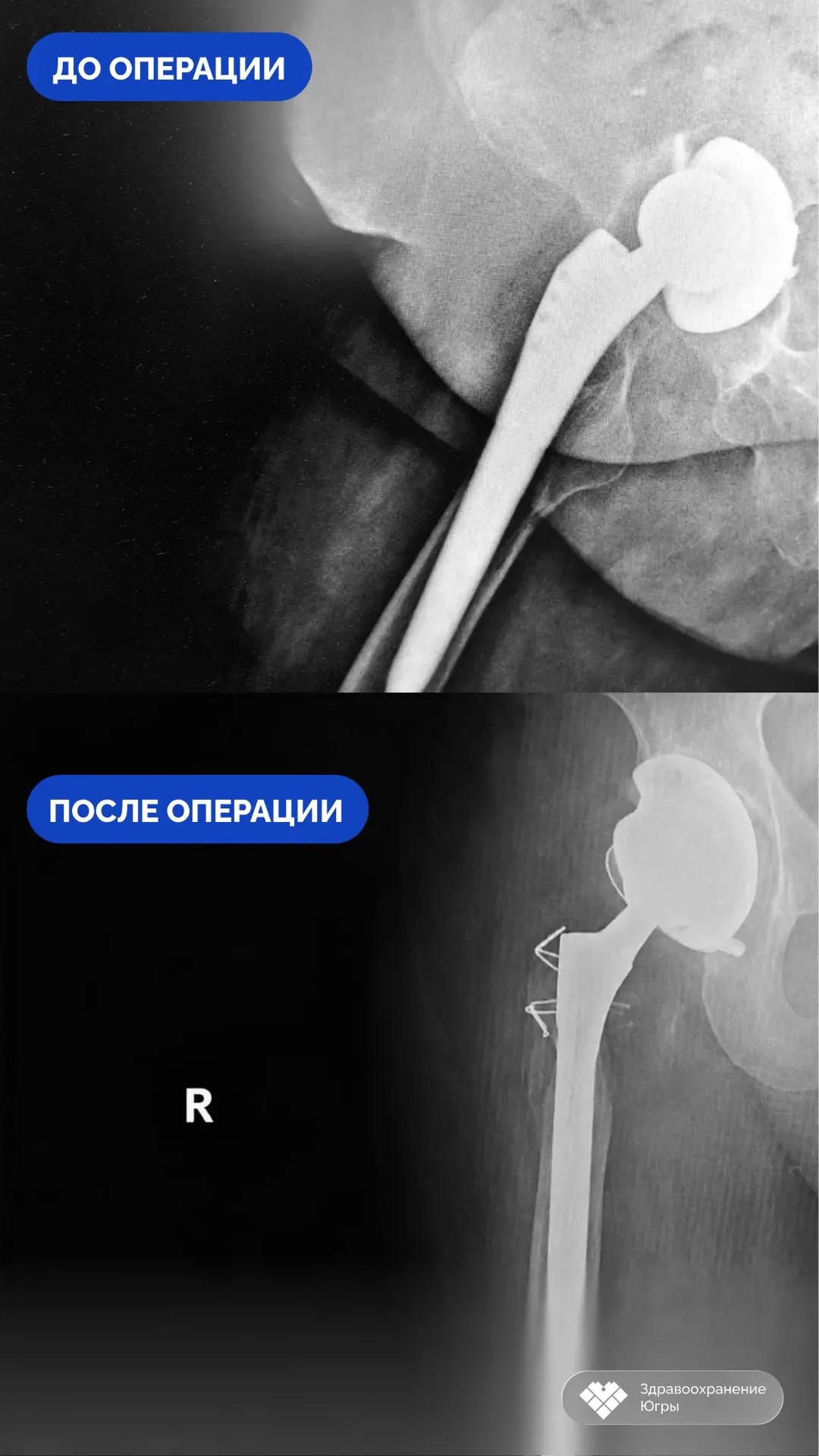 d93c05cd-7605-41f6-b6a9-8bceef8d62c3.jpg