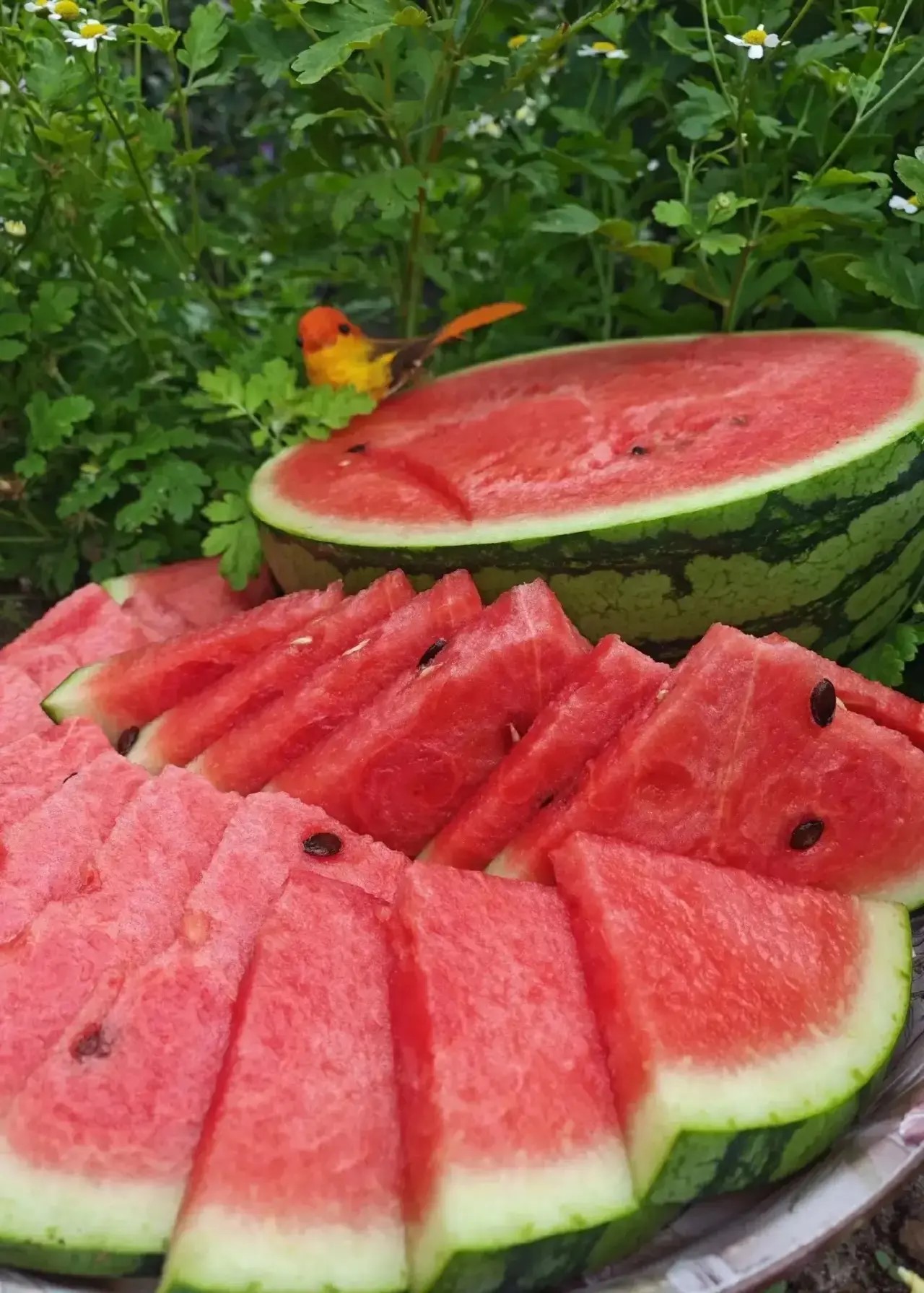e0d906c9-d3ad-4356-91c7-c9fa0c7d13d5.jpg
