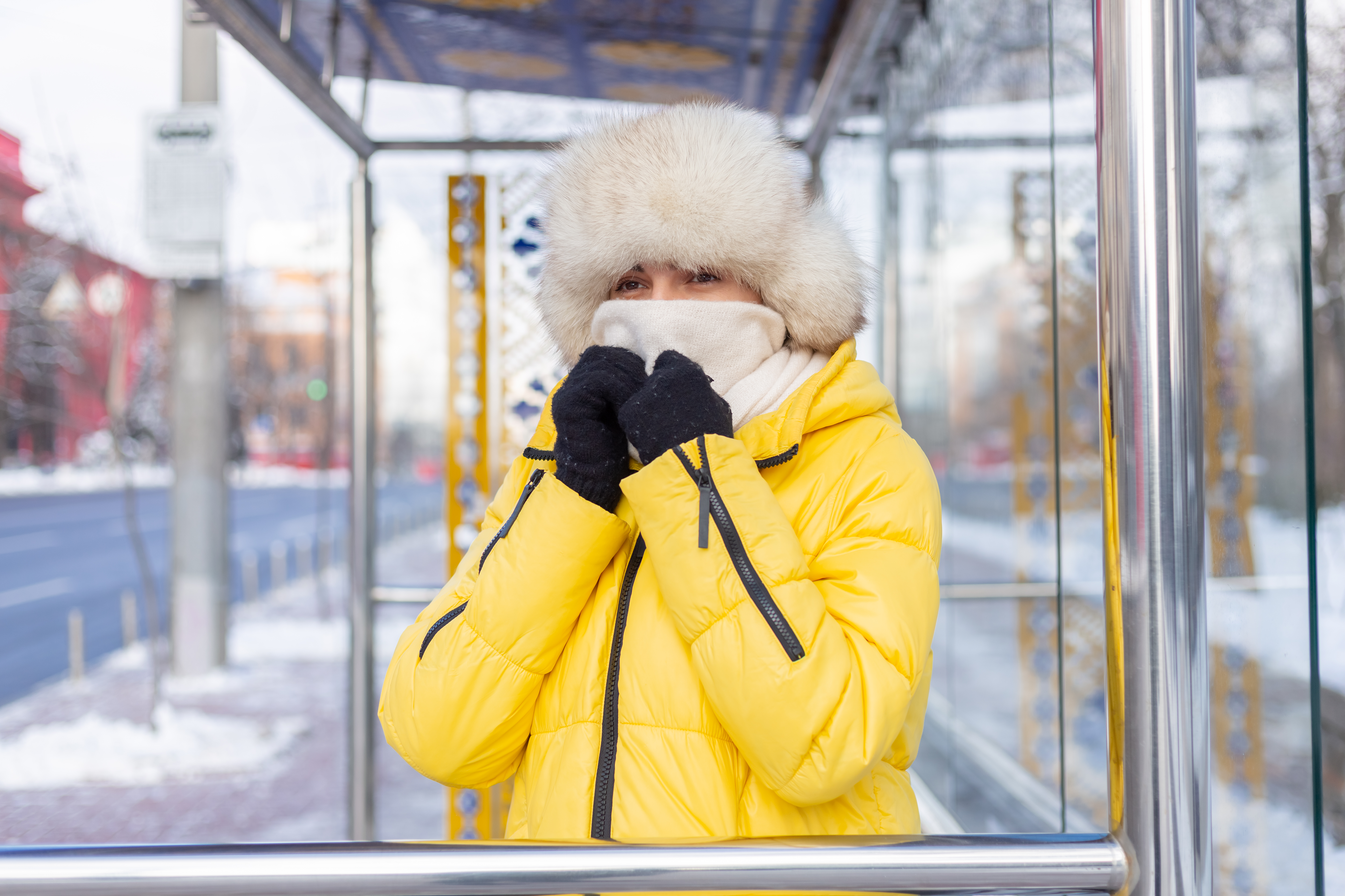 woman-winter-clothes-cold-day-waiting-bus-bus-stop.jpg