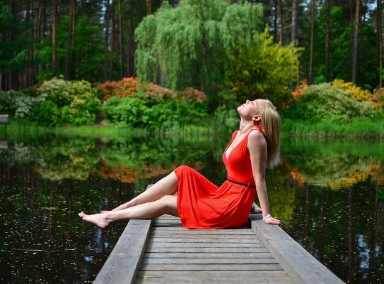 Турагентства, гостиницы, базы отдыха