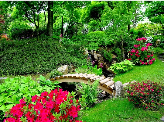 Дача, сад, огород