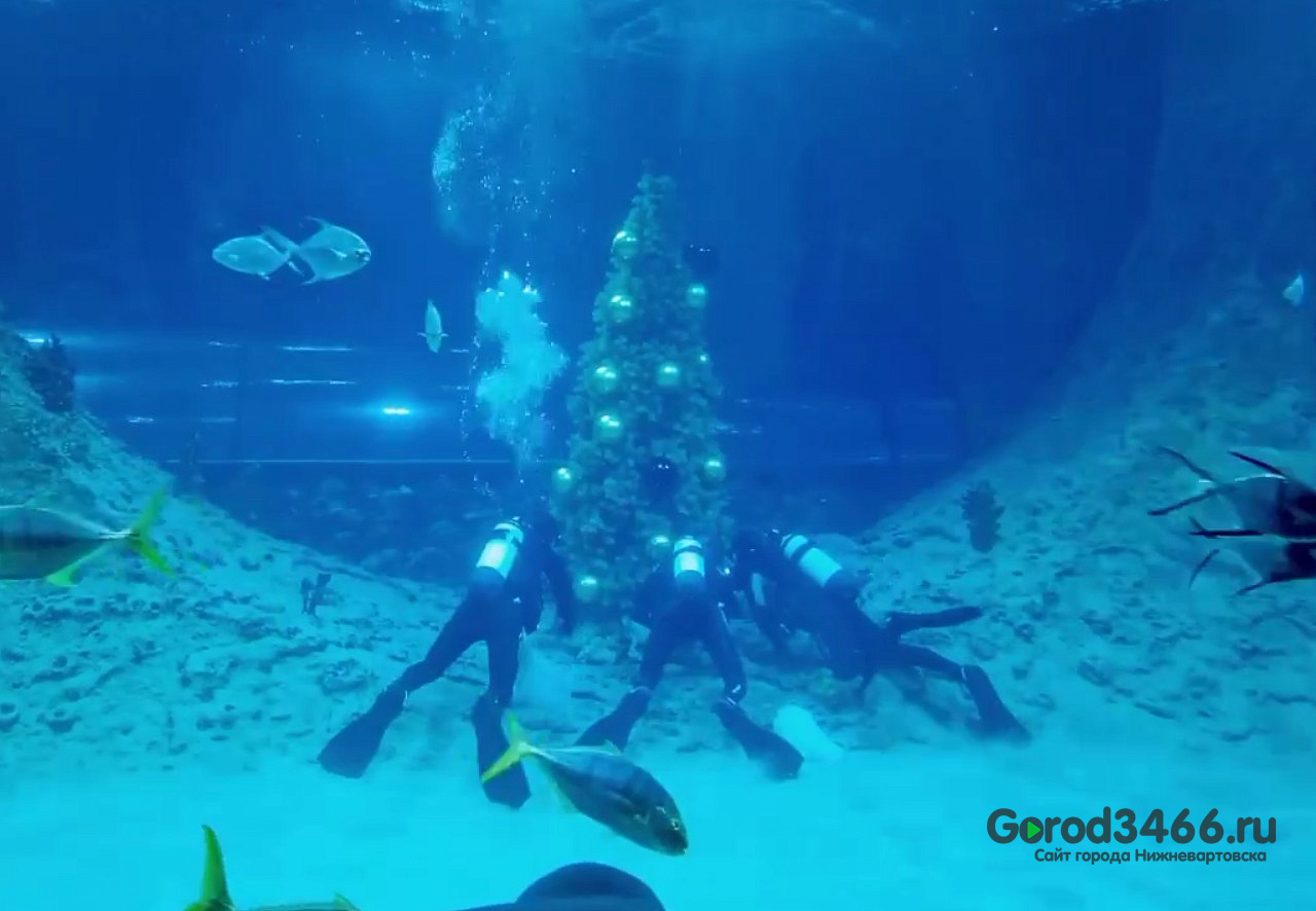 В Югре появилась первая подводная новогодняя ёлка