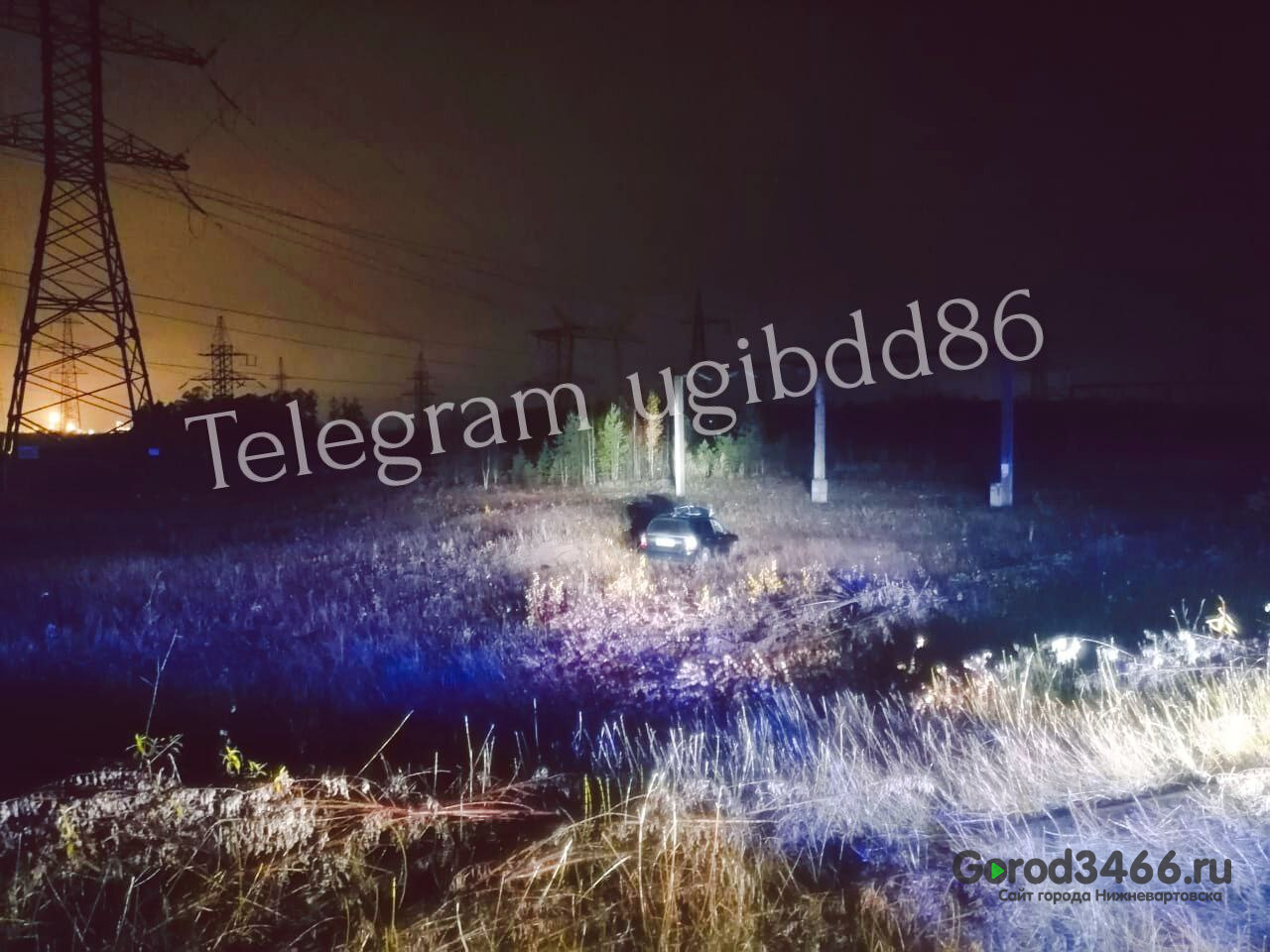 В Югре водитель сбил лося на дороге