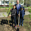 Школьная аллея станет цветущей