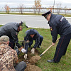 «В память о павших в Войне». Полицейские Нижневартовска посадили зеленую аллею