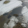 «ЛУКОЙЛ» отрицает загрязнение реки в Югре нефтью