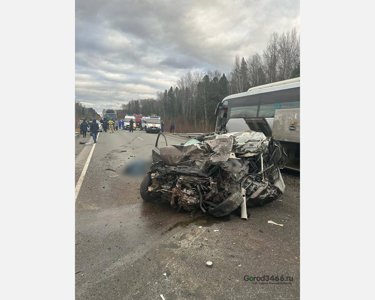В Югре легковушка столкнулась с пассажирским автобусом, есть погибшие