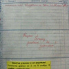"Пила детское шампанское на уроке!" Учителя собирают коллекцию замечаний из дневников