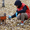 В парке Победы волонтеры обновили скворечники