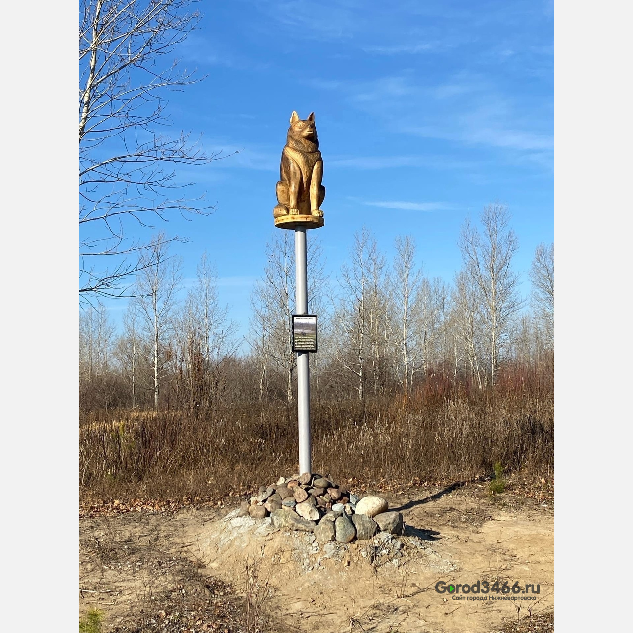 На трассе «Тюмень-Ханты-Мансийск» поставили памятник местному Хатико. Пёс 13 лет ждал погибшего хозяина