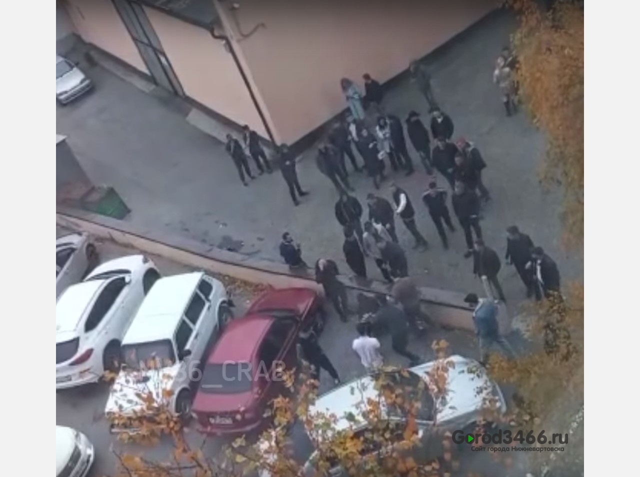 Глава СК отреагировал на жалобы жителей Нижневартовска о беспорядках у клуба «Метрополитан»