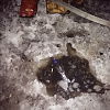 В Нижневартовске в результате пожара погиб мужчина