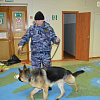 Полицейские собаки в Нижневартовске поймали вора
