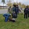 «В память о павших в Войне». Полицейские Нижневартовска посадили зеленую аллею