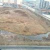Весна покажет, кто где мусорил. Вартовчане недовольны видом из окна