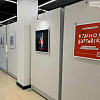 Алеша-супермен, опасная каракатица, шишки и вартовчанка в маске: в Нижневартовске готовят к открытию выставку современных авторов